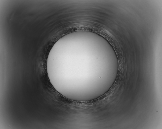 X0000089420774200706151003