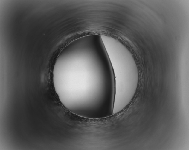 X0000089420776200706151003