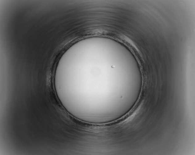 X0000089420778200706151003