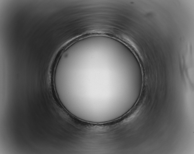 X0000089420779200706151003