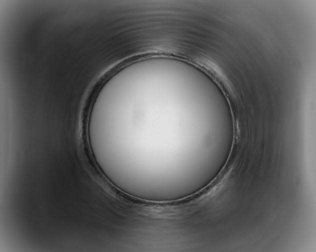 X0000089420780200706151002