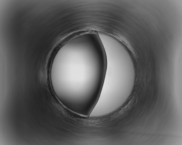 X0000089420784200706151002