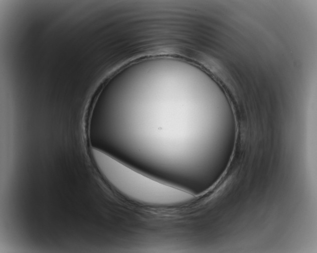 X0000089420789200706151002