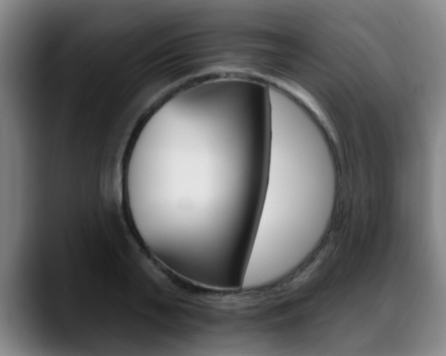 X0000089420791200706151002