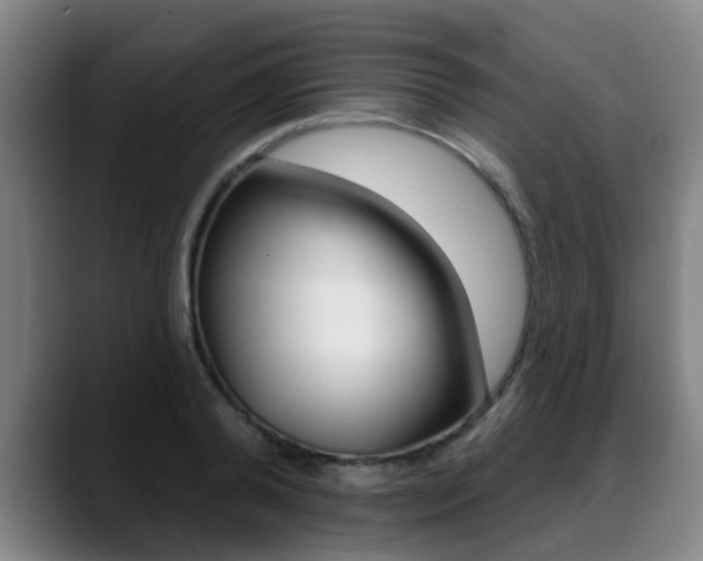 X0000089420792200706151002