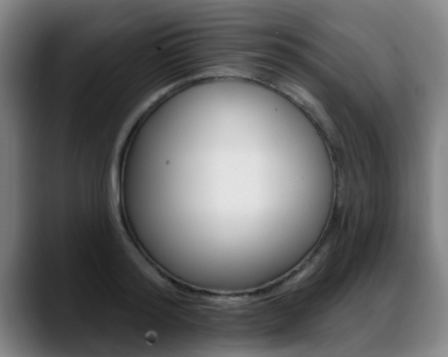 X0000089420796200706151002