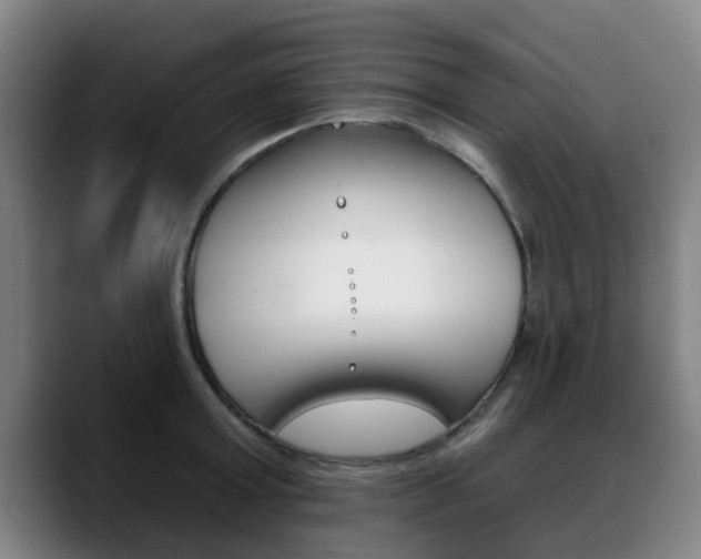 X0000089420803200706151002