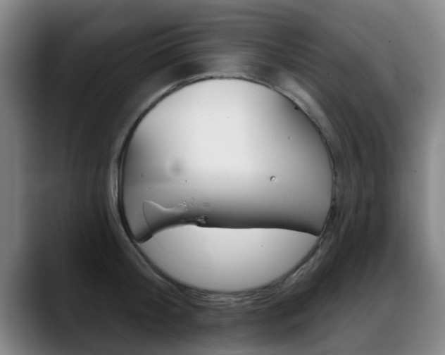 X0000089420804200706151002
