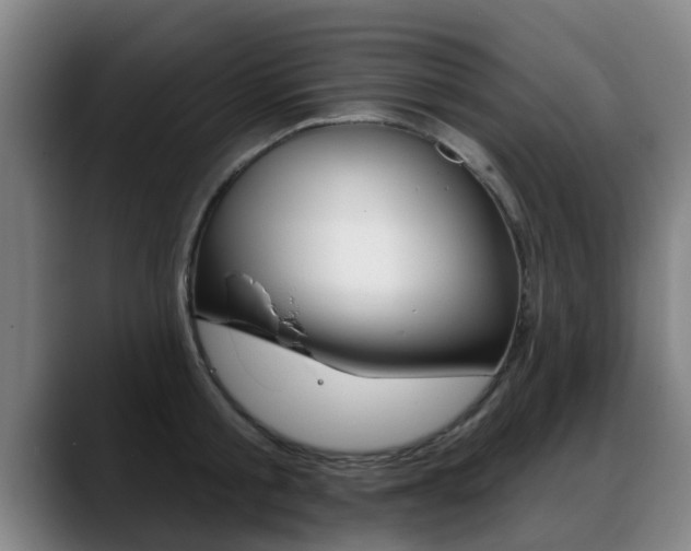 X0000089420805200706151002