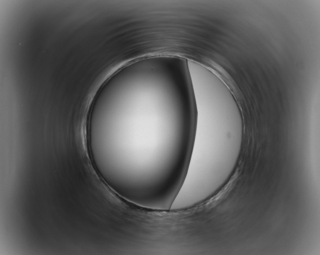 X0000089420812200706151002