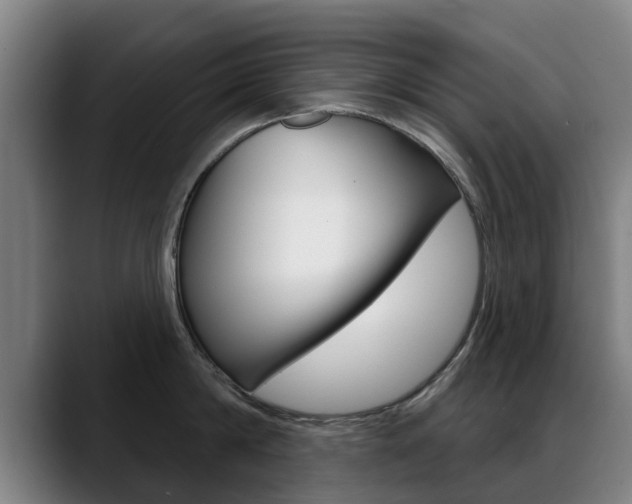 X0000089420814200706151002