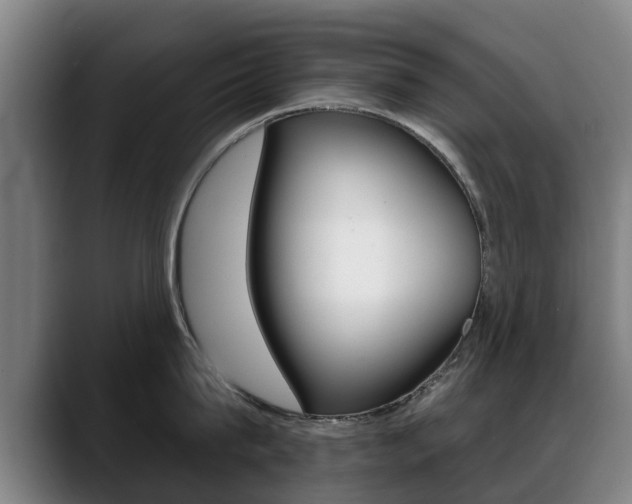 X0000089420815200706151002