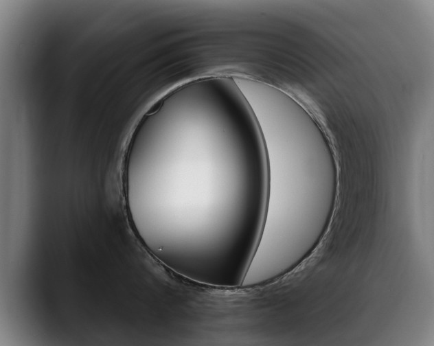 X0000089420816200706151002