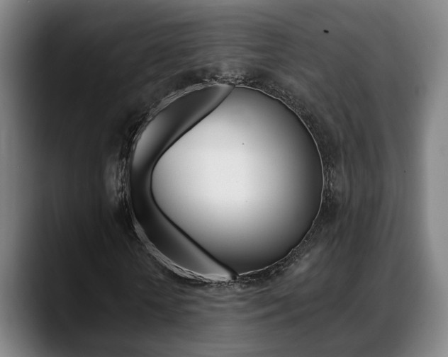 X0000089420818200706151002