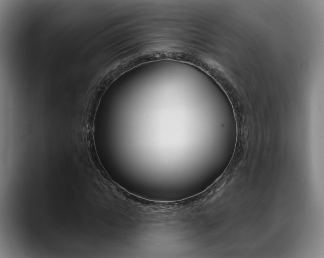 X0000089420822200706151002