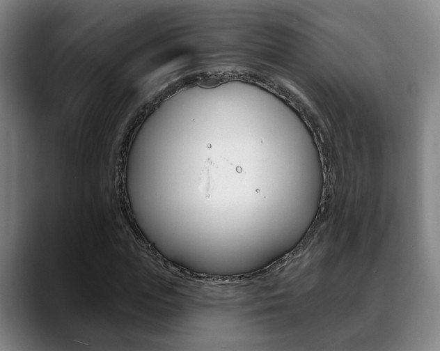 X0000089420823200706151002
