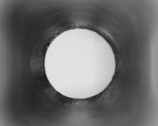 X0000089420824200706151002