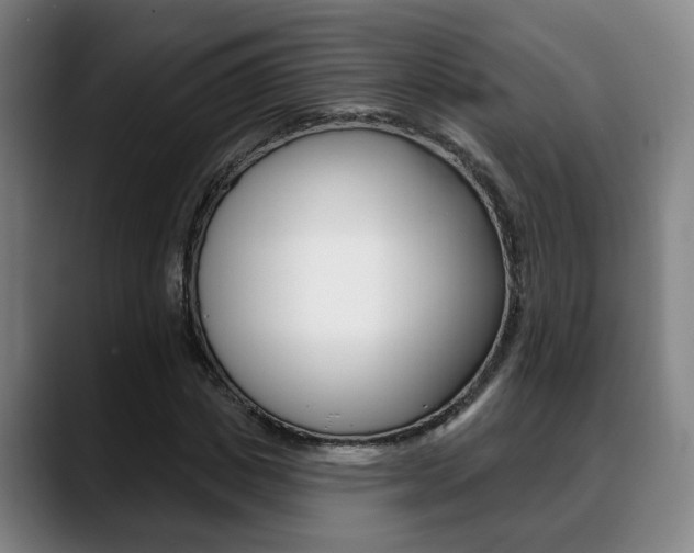 X0000089420825200706151002