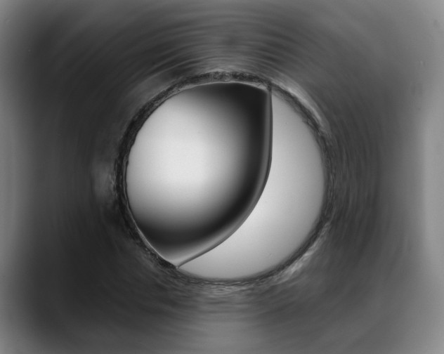 X0000089420826200706151002