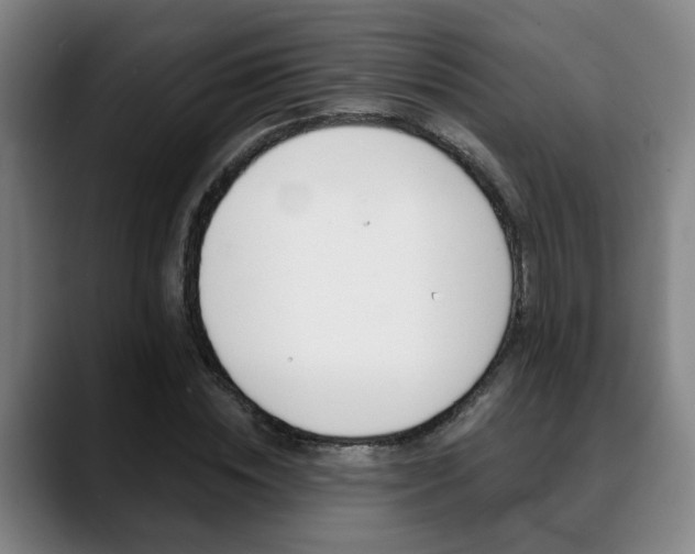 X0000089420828200706151002