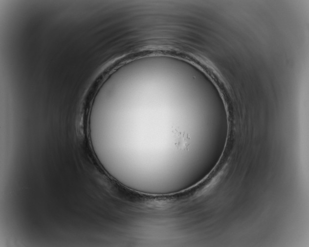 X0000089420830200706151002