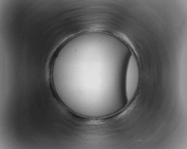 X0000089420835200706151002