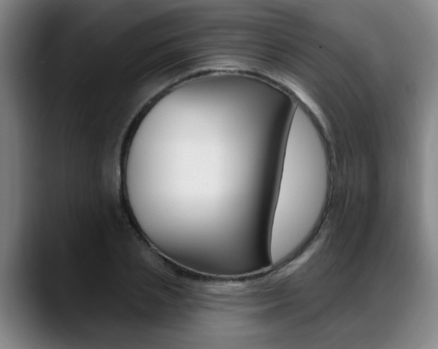 X0000089420837200706151002