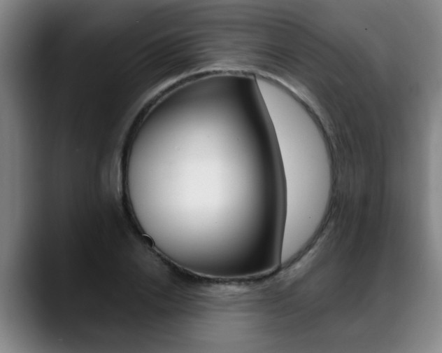 X0000089420838200706151002