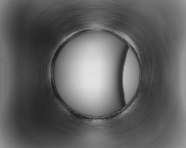X0000089420839200706151002