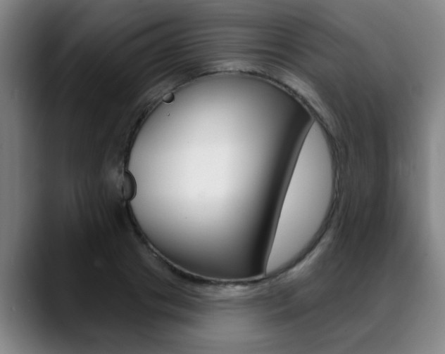 X0000089420841200706151002