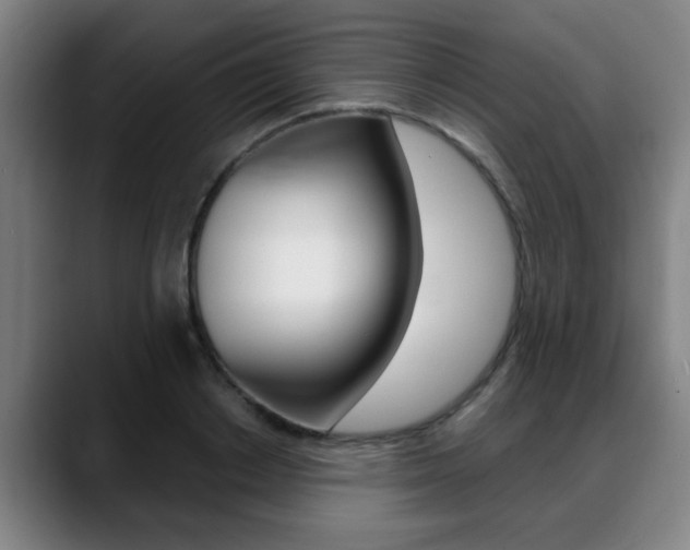 X0000089420842200706151002