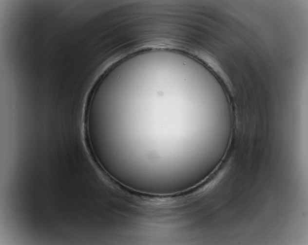 X0000089420845200706151002