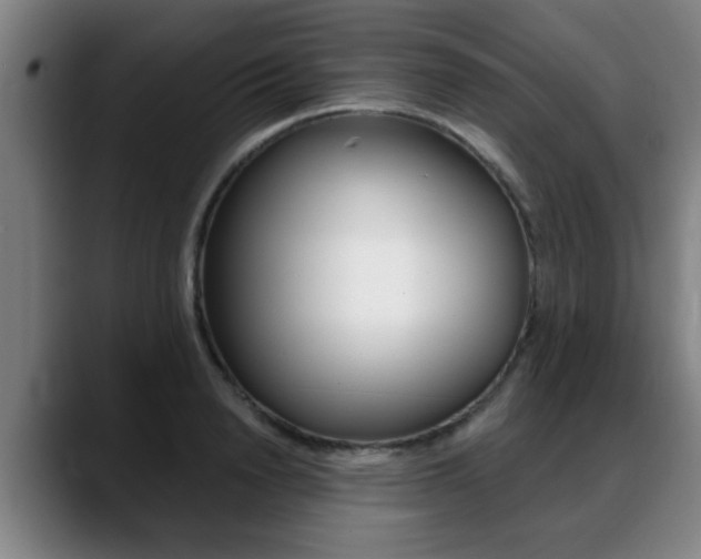 X0000089420846200706151002