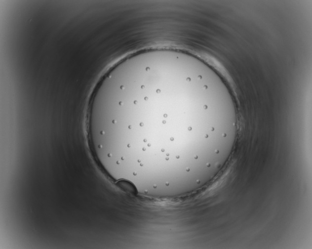 X0000089420847200706151002