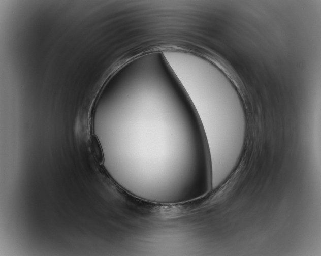 X0000089420858200706151002