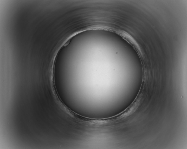 X0000089420860200706151002