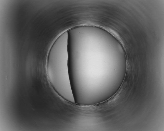 X0000089420863200706151002