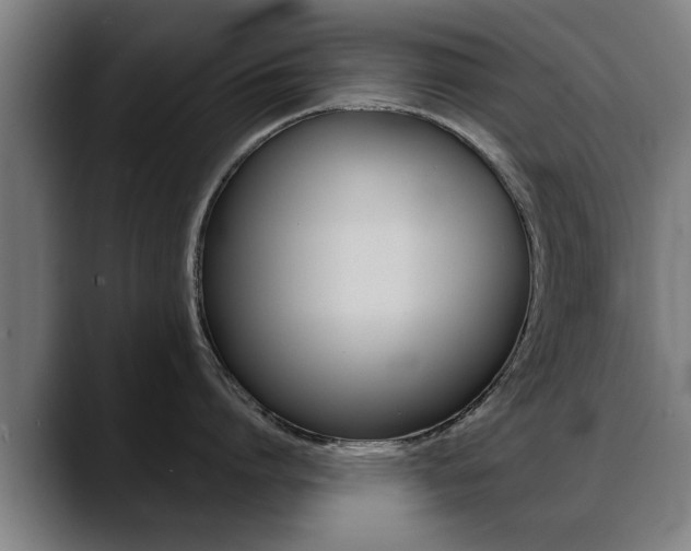 X0000089420864200706151002