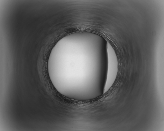 X0000089420865200706151002