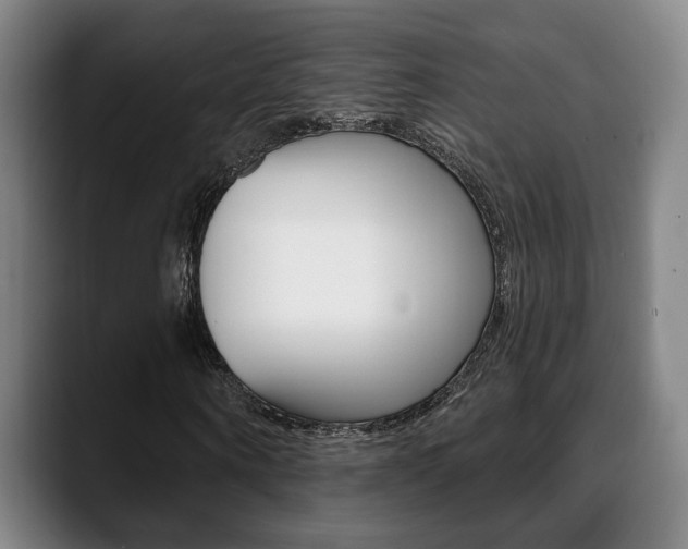X0000089420866200706151001