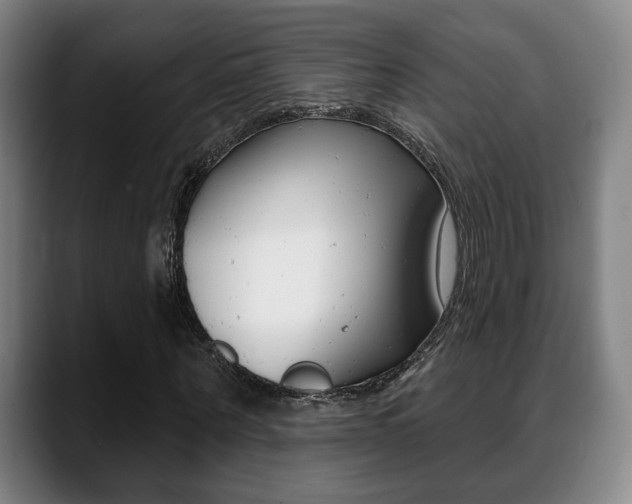 X0000089420867200706151001