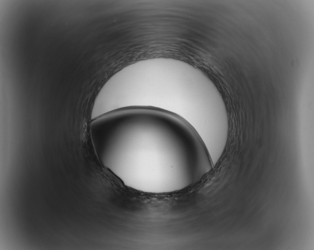 X0000089420868200706151001