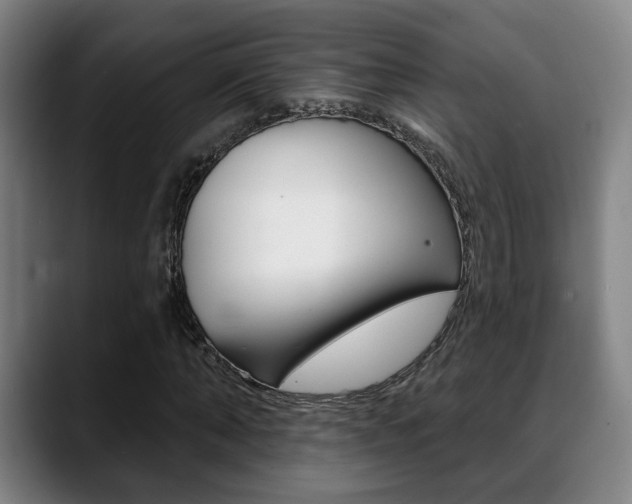 X0000089420870200706151001
