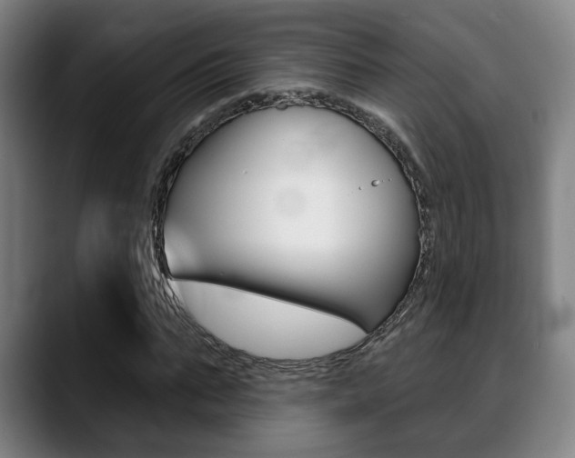 X0000089420871200706151001