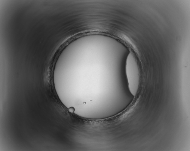 X0000089420875200706151001