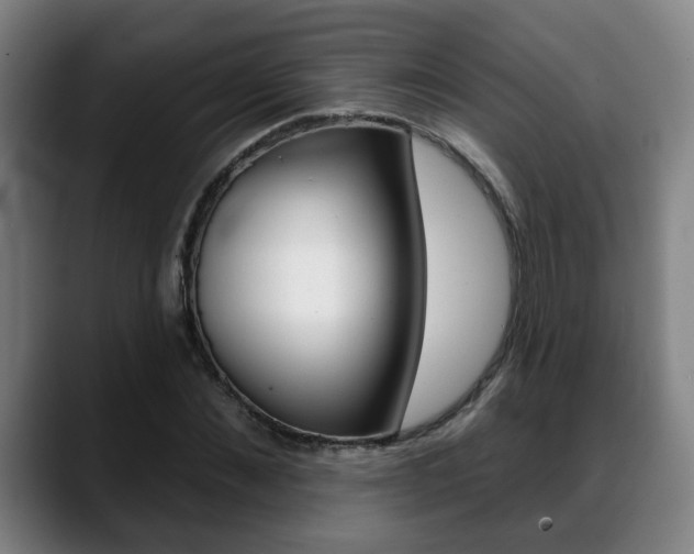 X0000089420876200706151001