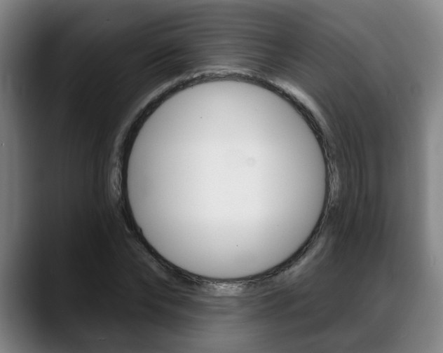 X0000089420878200706151001