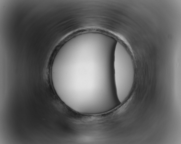 X0000089420879200706151001