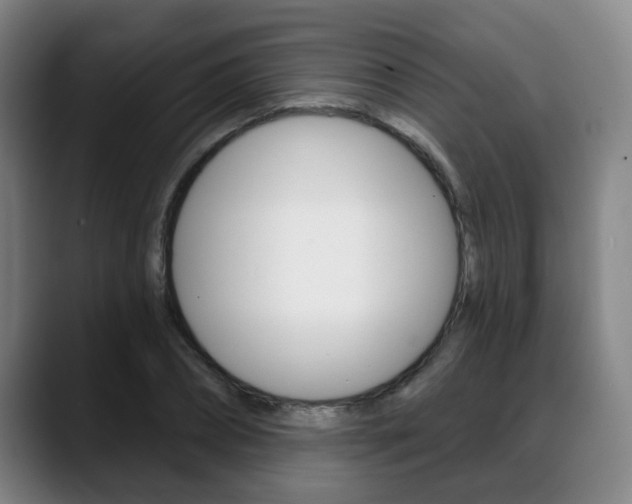 X0000089420882200706151001