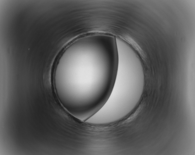 X0000089420884200706151001